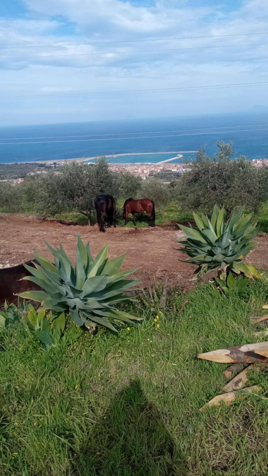 Agriturismo Serre SantʼAgata di Militello Kültér fotó
